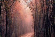 [CBA]防守立足 青岛终结吉林三连胜.