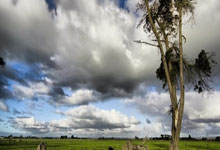 [乒乓球]陈幸同晋级女单16强 将与申裕斌争夺八强.